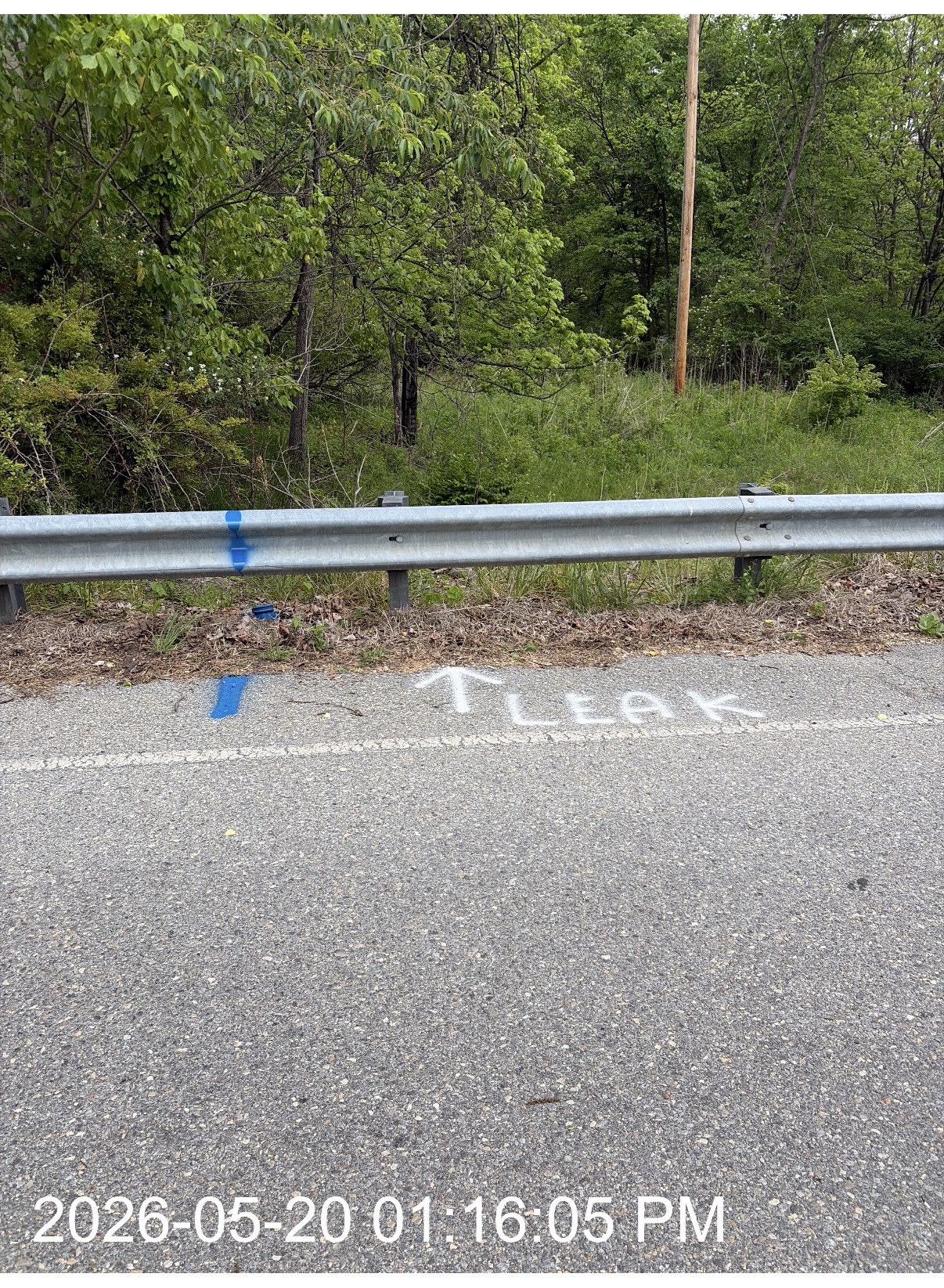 Marked Leak for Leak report